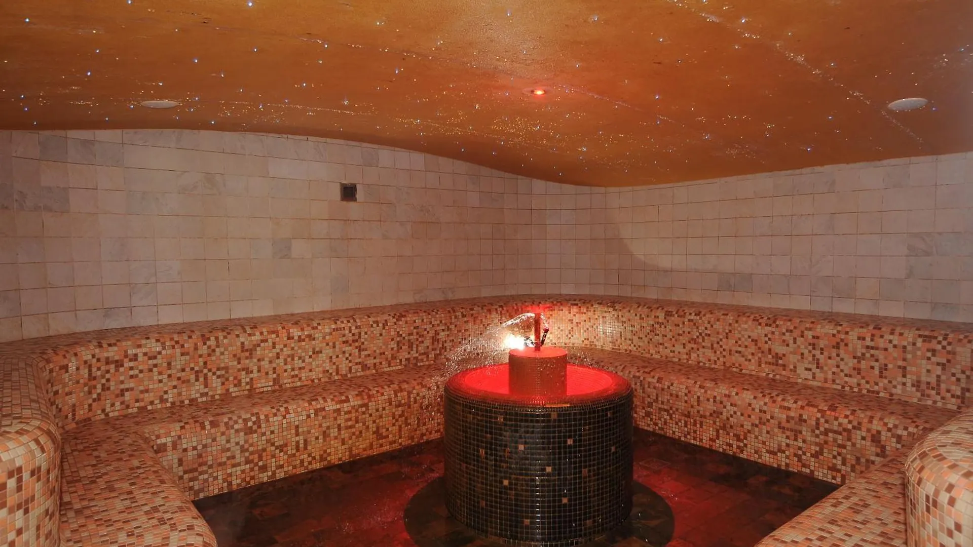 Hotel Petrarca Terme Montegrotto Terme
